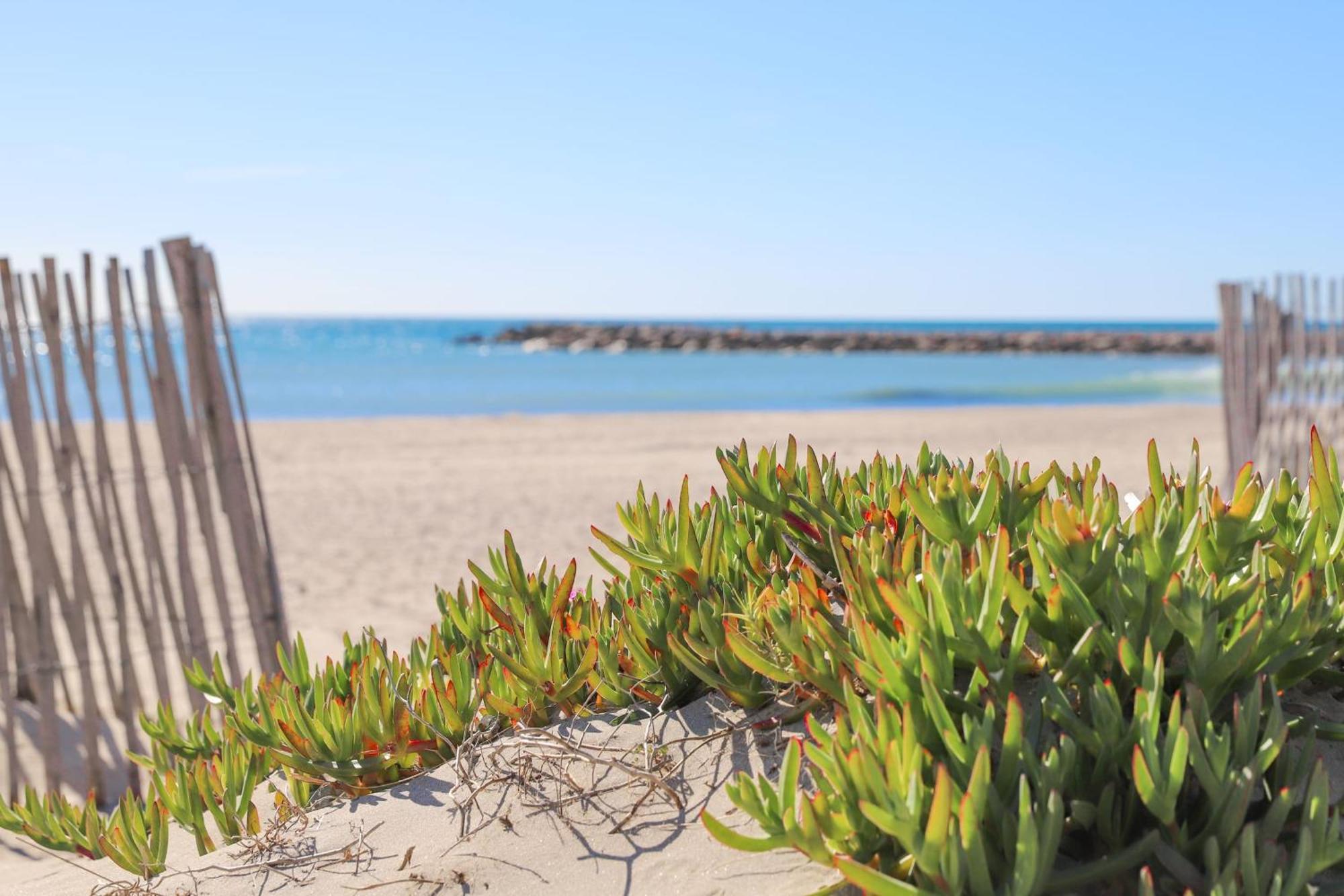 T2 Boheme Centre Ville Palavas Proche Plage 外观 照片